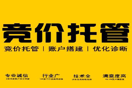 推广竞价策略优化：借鉴经典案例提升效果